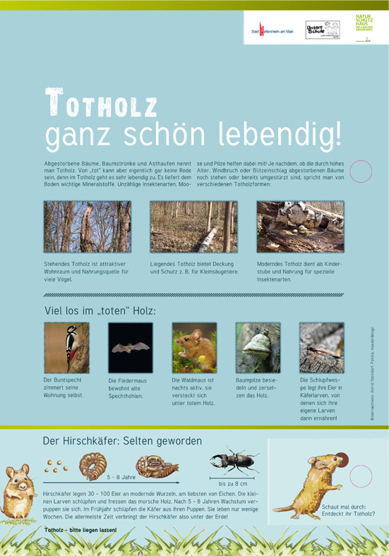 waldches1