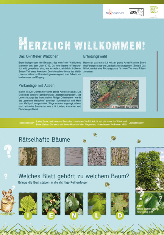waldches2