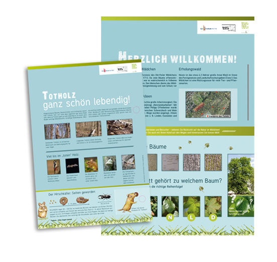 waldches4